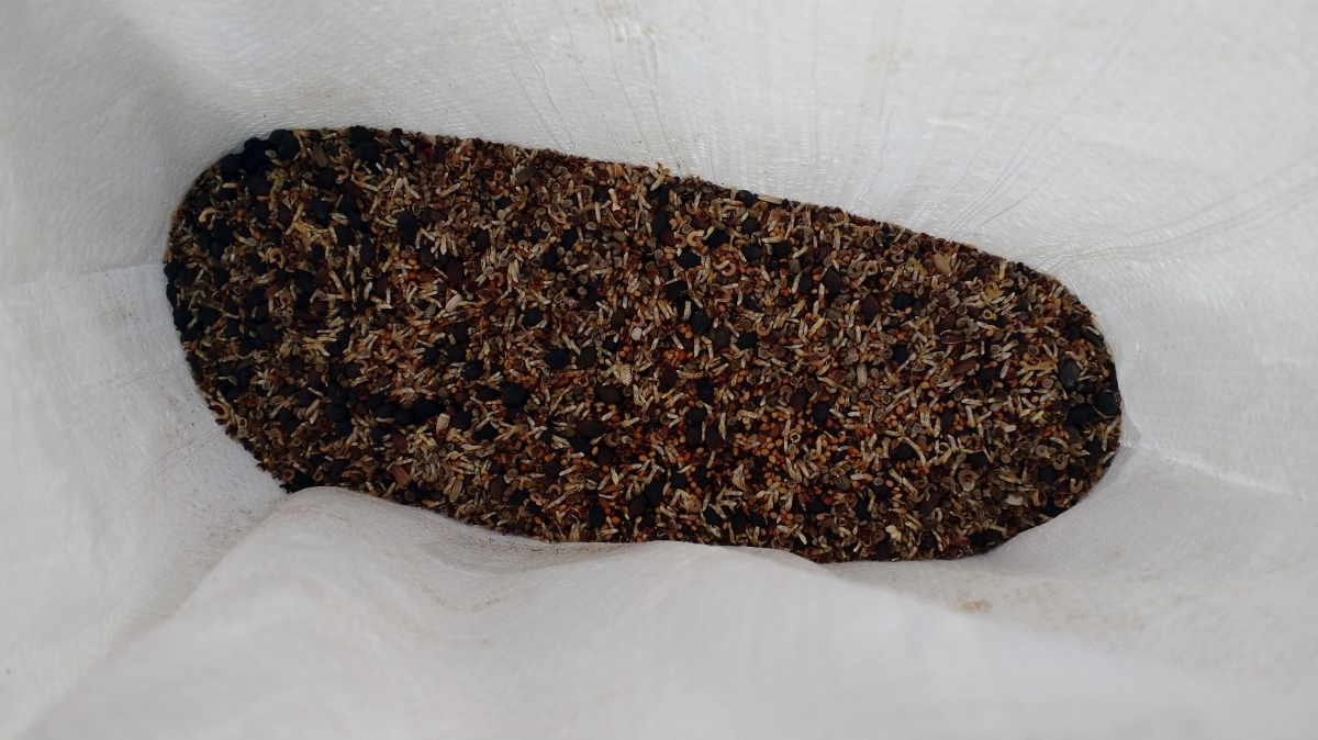 Wildlife and Forage Seed Mix 