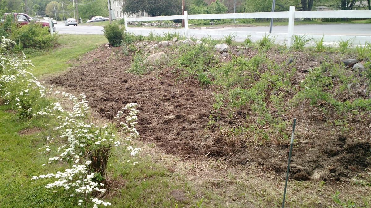Seed Garden at Pollinator Park at Roberts Field 
