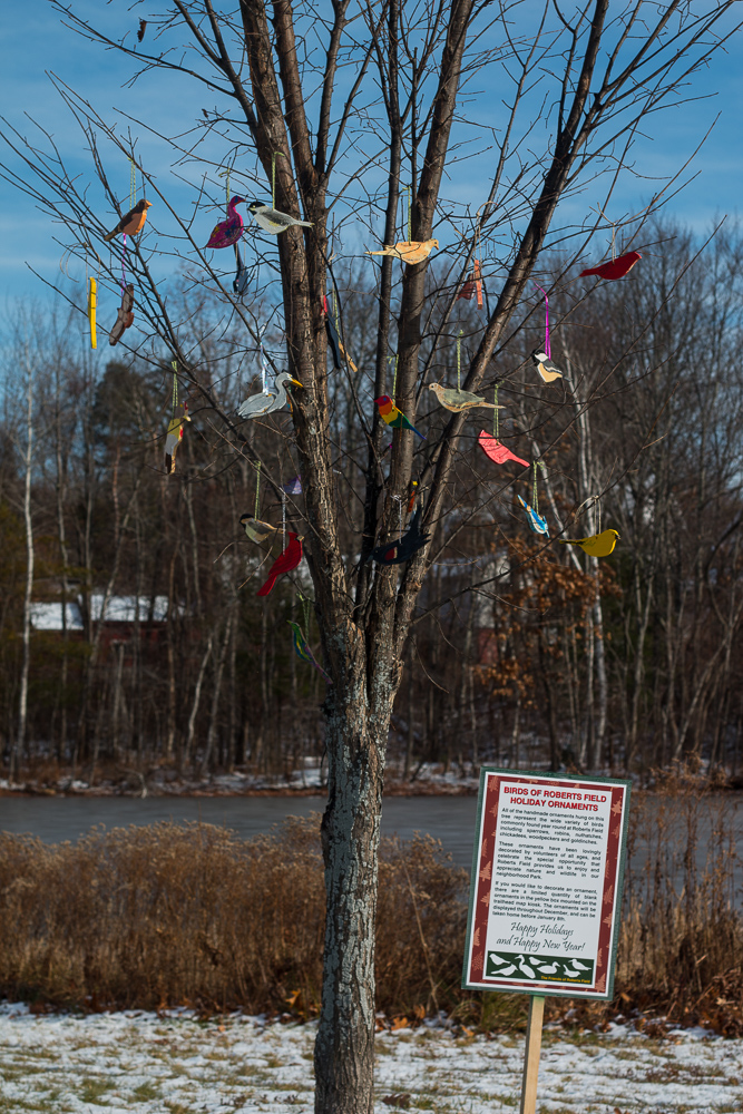 Roberts Field Holiday Tree-1