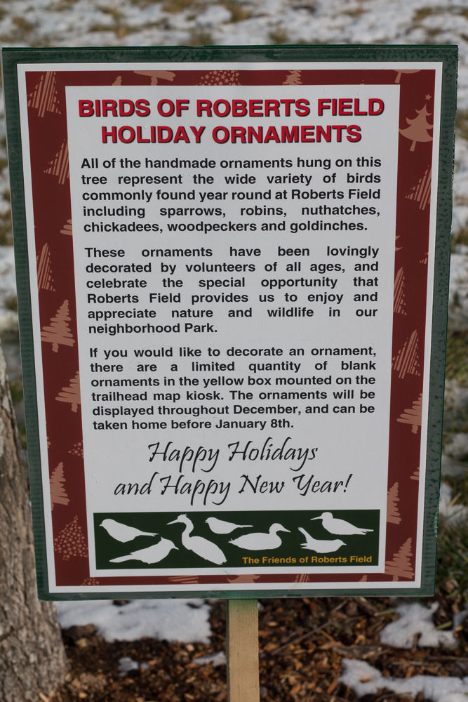 Roberts Field Holiday Tree-13