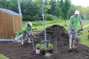 Prepping the garden bed