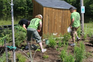 Kronos planting pollinator garden 