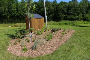 Pollinator Garden planted by Kronos 