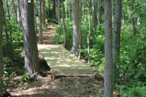 Kronos Built Bridge at Roberts Field 