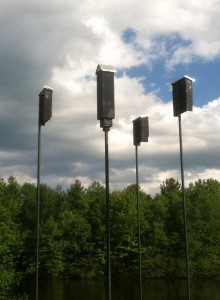 bat boxes 2 