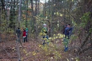Scouts from Chelmsford BSA Troop 81 working on a Conservation Project at Roberts Field
